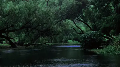 Thời gian trôi,chỉ có ký ức vẫn ngoan cố ở lại... #yenbinh #chualanh #thiennhien #thiennhien 