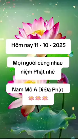 nam mô a di đà phật  #tinhdotong #phatgiao #phatphap #phật #phậtpháp #phapmontinhdo #phatphapnhiemmau🙏 #phatphapnhiemmau🙏🙏🙏 