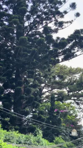 Okee mahok#xyzabc #xyzabcd #cb125se 