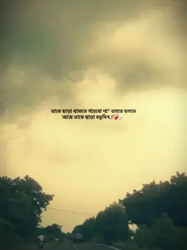 তাকে ছাড়া থাকতে পারবো না