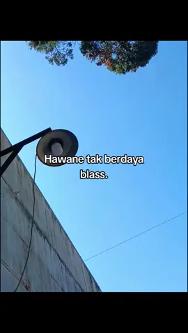 kacau pol dino iki