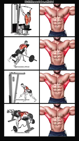 ✅ How to Build a Wider Back ① Lat Pulldown  ② Incline Reverse Grip Row  ③ Cable One Arm Row  ④ Laying Row  3 sets 12 reps 