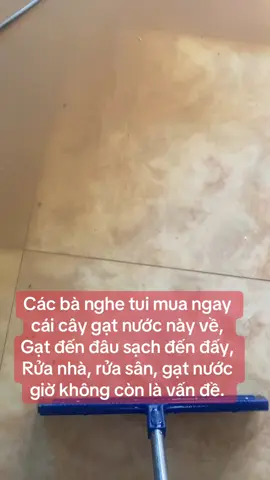 Thân bằng inox, cái gạt cao su, Gạt đến đâu, sạch đến đấy. Cây nhẹ, ai gạt cũng đc hết á #jyp  #fyp  #xh 
