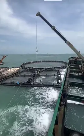 #TikTokAwardsVN #MáySụcLủi #microbubble #Nanobubble #NuôiTrồngMậtĐộCao 