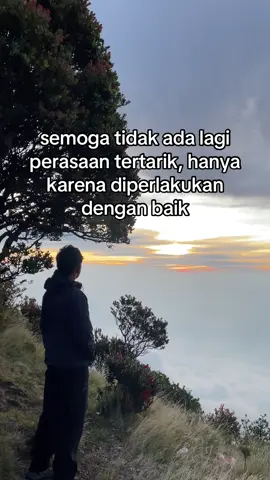 walehh #fyp #lawumountain 