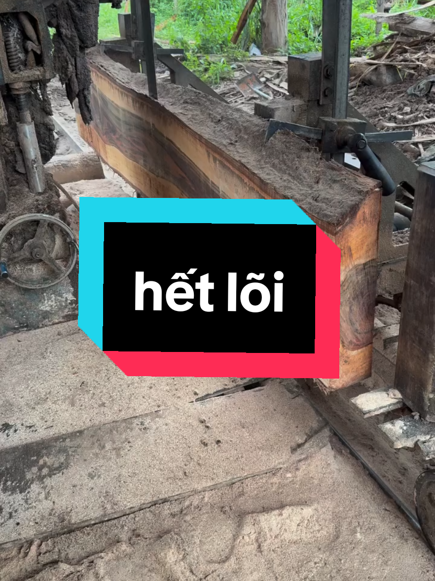 #goviral #gonguyenkhoi #gotunhien 