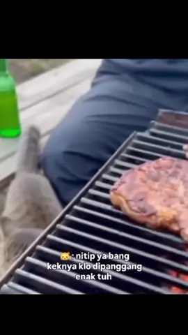 tau aja mujaer nih kalo lagi bakar bakar 🗿 #funnycat #kucinglucu 