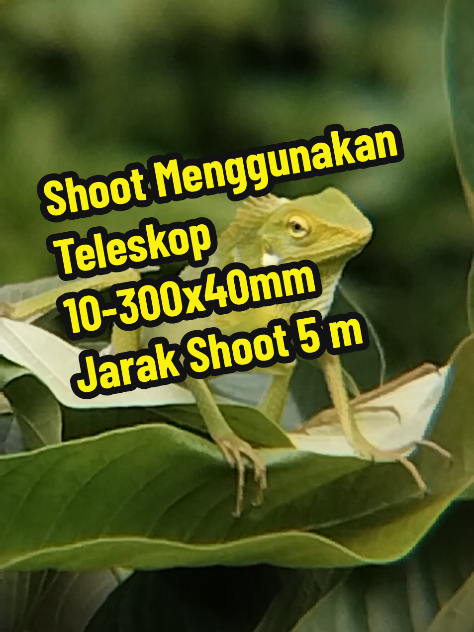 Shoot Menggunakan Teleskop 10-300x40mm Jarak Shoot 5 m #teleskopmonokular #teropongjarakjauh #teropongbintang #dijamincuan #teropong 