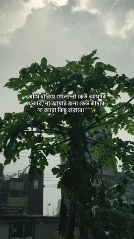 আমি হারিয়ে গেলে! না কেউ আমাকে খুজবে, না আমার জন্য কেউ কাঁদবে, না কারো কিছু হারাবে! #foryoupage #foryou #fyp #viralvideo #bdtiktokofficial🇧🇩 