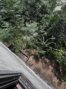 愛就是這樣。 「愛讓我們的心迷失，那些甜蜜的瞬間隨著時間的流逝而消逝。我曾相信愛是永恆的，但如今看來，它只是生命中的一瞬，短暫而脆弱。我愛過，我期盼過，但那愛就像雲朵，在我們再也無法相見時消散。tình yêu là. 