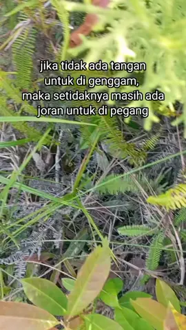 #storymancing #foryou #masukberanda #fyp #4u 