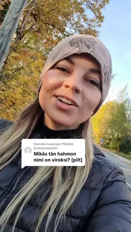 Vastus kasutajale @fff6866 