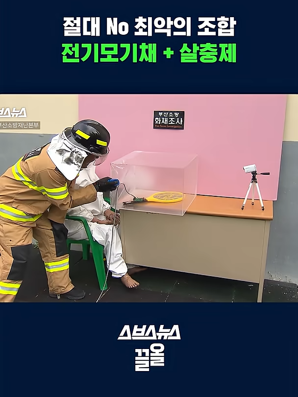 모기와의 전쟁 시작! 전기모기채 쓸 때 꼭 알아야 할 주의사항 ⚠️ #모기 #폭염 #스브스뉴스