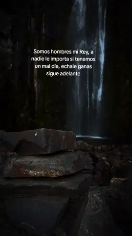 #viraltiktok 