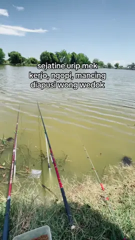 jan giatel #darjostyle #etanan_gank #teampenjajah #embleee #foryoupage 