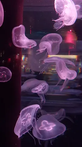 자존심 다 내려놓고 한 번만 더 안아볼걸 #이별 #짝사랑 #감성 