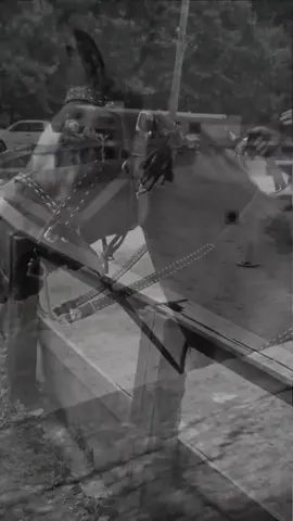 Martin #appalachia #standardbred #barnlife 