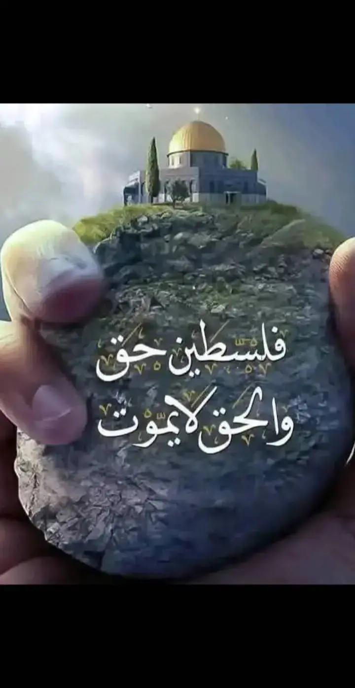 النصر قادم باذن الله تعالى كم وعدنا رب العرش العظيم وعند الله تجتمع الخصوم 