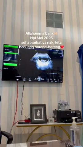 sampai ketemu dibulan mei ya sygg❤️ #pregnant #usg #tm1 