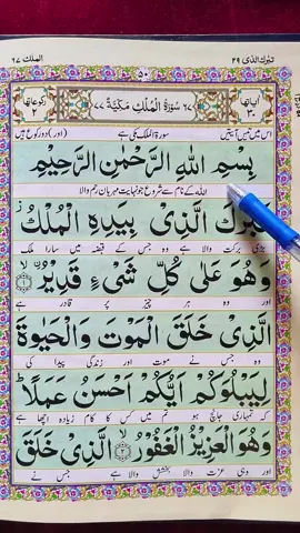Recitation Of Quran king Surah Al-Mulk Complete Tilawat 🌎  #🖤 #quran #fyp #fypシ゚viral #foryoupage 