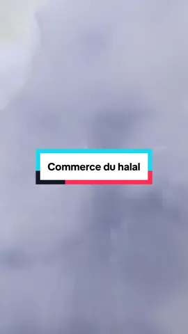 #commerce #halal#france le commerce du halal appartient à qui est réellement en France ? Vaste questions🤔
