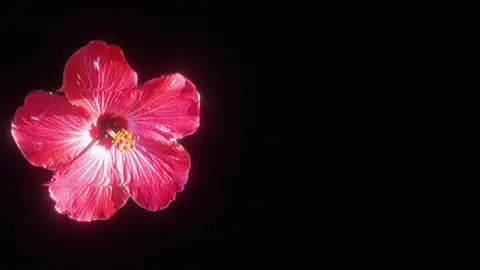 اهنگای قدیمی♾️🧘 https://t.me/dear_solly .  .  .  .  .  .  .  .  .  .  .  .  .  .  .  .  .  .  .  .  .  .  .  .  .  .  .  .  .  .  .  .  .  .  .  .  .  .  .  .  .  .  .  .  .  .  .  .  .  .  .  .  .  .  .  .  .  .  .  .  .  .  .  .  .  .  .  .  .  #گمشو_برو_فوریو_روانی_بچ #فوریو_نظری_به_حال_ما_کن #برو_فوریو #for_you #برو_فویو_خداییش 