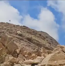 رصد الوعول شبوه جنوب اليمن عبدالله ابو صقر دحيملان #رحلات #قنص #تصويري #رحلات_برية 