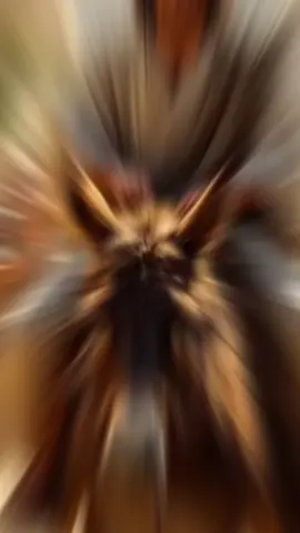 ##titokviralvideo #jesuslovesyou #jesussaves #jesussaves #jesusteama #jesuslovesyou 