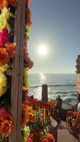 Very pretty restaurant, food iight, service not the best.  #rosarito#baja#travelinfluencer #losportales #travelmexico 
