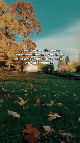 keep your spirits up and don't give up 