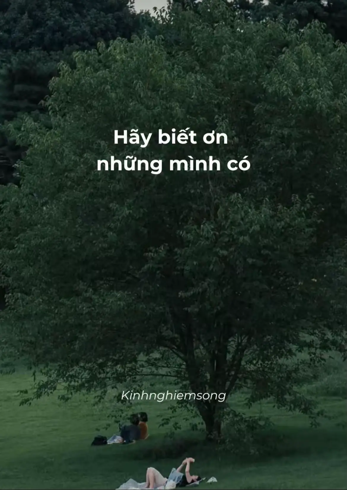 Hãy biết ơn những gì bạn có, để có được nhiều hơn. Nếu tập trung những gì bạn không có bạn sẽ có cảm giác không bao giờ đủ . #phattrienbanthan #LearnOnTikTok #kinhnghiemsong #trichdanhay #dongluc  