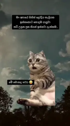 Oi oiih ......😁🧐 #friendship #viral #creatorsearchinsights 