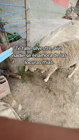 #humor #locura #fyppppppppppppppppppppppp #paratiiiiiiiiiiiiiiiiiiiiiiiiiiiiiii #potosi_bolivia🇧🇴 