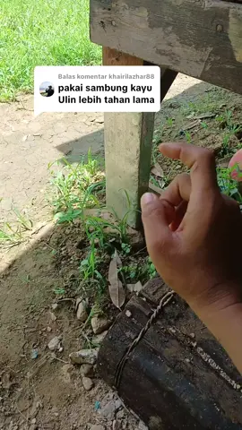 Membalas @khairilazhar88 Boleh Di Coba Ini. #abahmalin  #rumahkebun  #petaniindonesia🇮🇩🇮🇩🇮🇩🌿🌿 