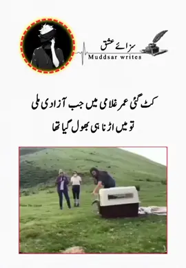 #creatorsearchinsights #🥺💔 