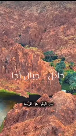 حب الوطن مثل الفريضه  والشوق عامل بي عمايل 