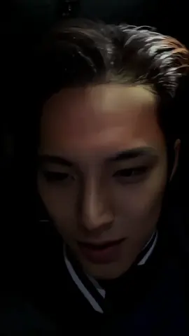 letzzzgoooo#mingyu #seventeen 