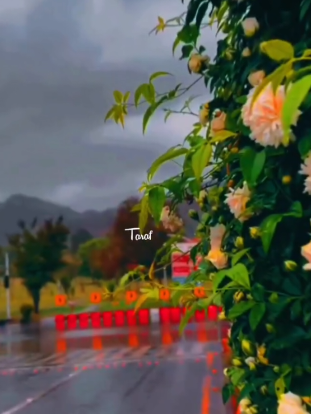 Teri Nazro ki taraf Nazrain..✨👀💗🎧#useheadphones #newtrandingvideo #akashtypist #fyp #foryoupageofficial 