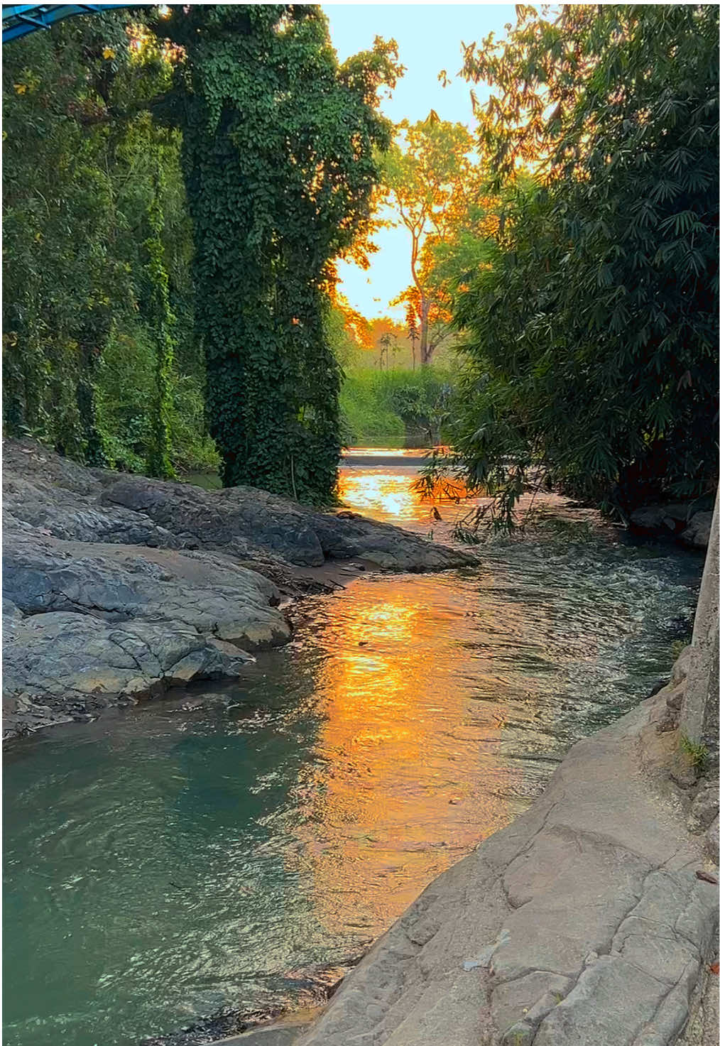 Menikmati kesunyian di pinggiran kota Sleman. Ada yang pernah ke sini juga? 🍃 #nature #fyp #river #hiddengems #yogyakarta 
