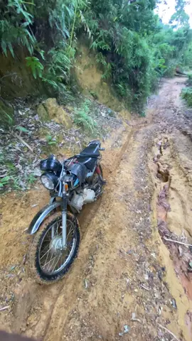 Lên núi có zì vuii😵‍💫