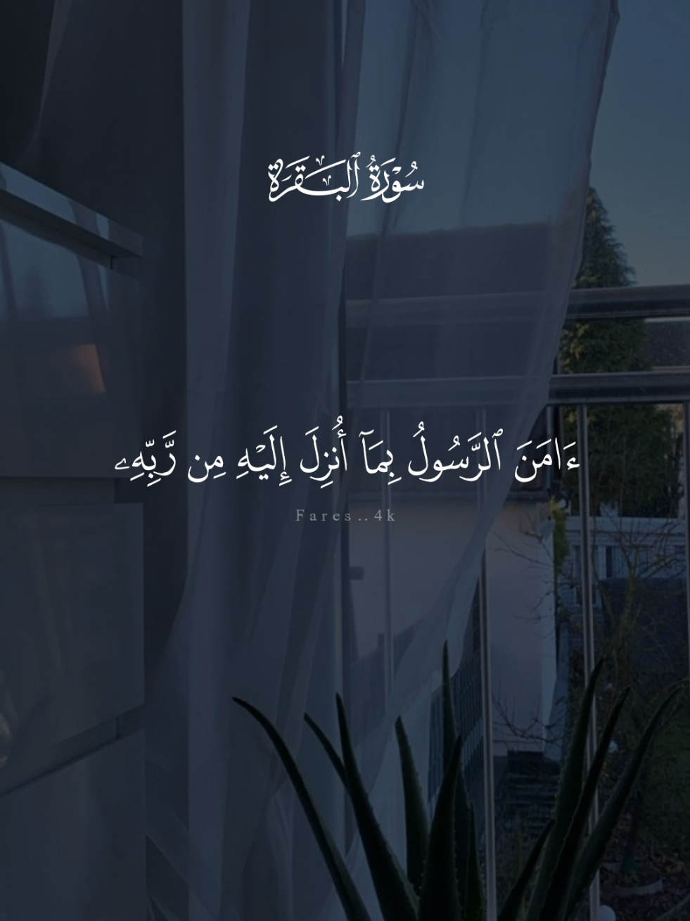 #قران #ماهرالمعيقلي #quran #قران_كريم #سورة_البقرة 