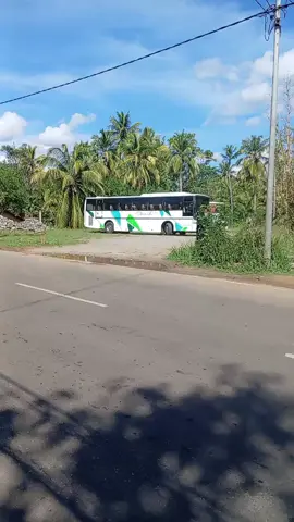 #fffffffffffyyyyyyyyyyypppppppppppp #buspoddaofficial #බස්_පිස්සුව😊 