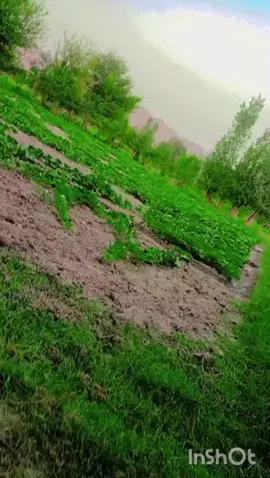 🔁🔁🔁🔁🔁🔂🔂🔂🔂🔂🔂#foryou #share #comment #like #comment #tiktok #comment #foryou #foryou #foryou #foryou *#foryou #foryou #like #like #share #share 