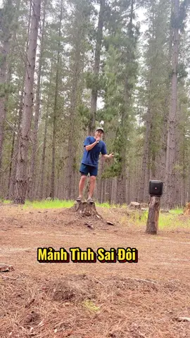 Úc cũng có rừng thông 😁 #conghunghan #Han #hanvina #conghungaustralia #manhtinhsaidoi 