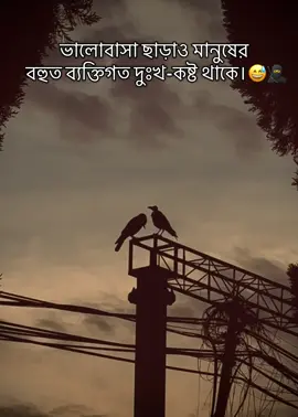 ভালোবাসা ছাড়াও মানুষের বহুত ব্যক্তিগত দুঃখ-কষ্ট থাকে।       #creatorsearchinsights #fyp #foryou #foryoupage #100kviews @For You @TikTok Bangladesh @TikTok 