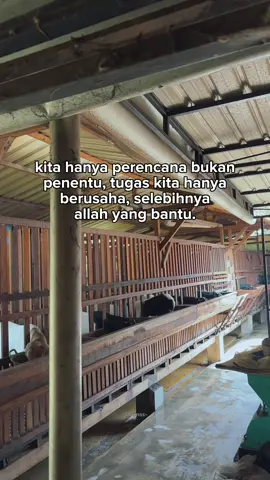 #kambingetawakaligesing #peternakkambing #fyp #dimarfarm #dombatexel 