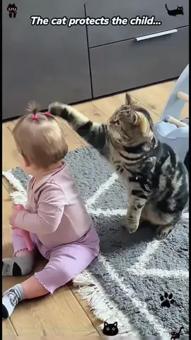 Cats are the best guardians…#cat#kid#protect#heartwarming#tiktok
