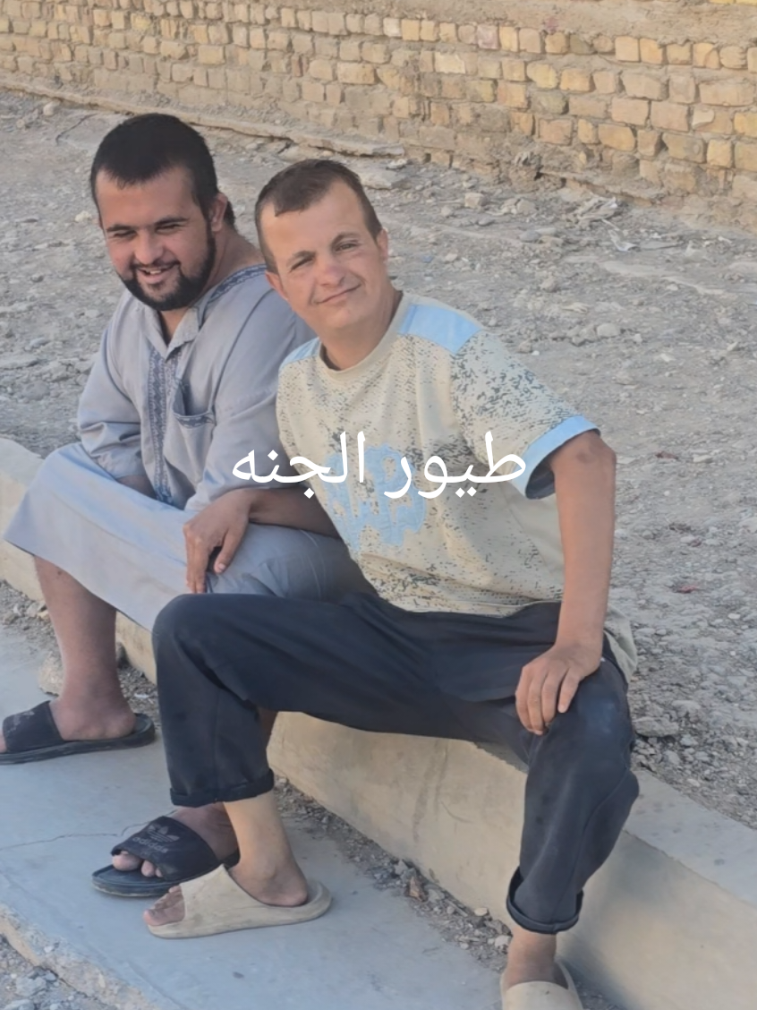 #طيور_الجنة #المغرب🇲🇦تونس🇹🇳الجزائر🇩🇿 #العراق #المشاهير____التيك___توك 