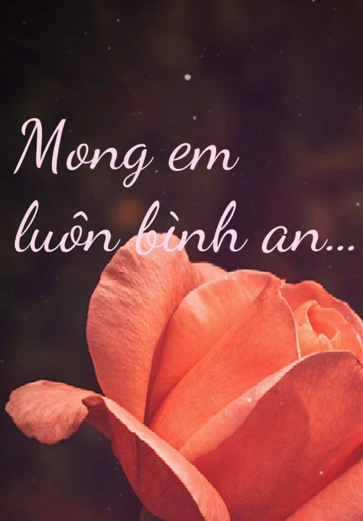Gửi người tôi thương… cho dù cuộc đời này anh không đi được cùng em, vẫn luôn mong em được nhiều may mắn và an yên. ❤️#tinhyeu #songpresent #baihoccuocsong #cuocsongthuongngay #hanhphuc 