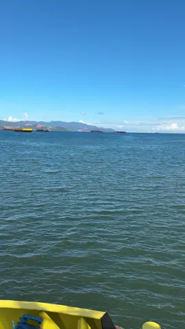 Ketua belum pulang😩😂#fyp #surveyor #tambangnikel #kulitambang #konaweutara 